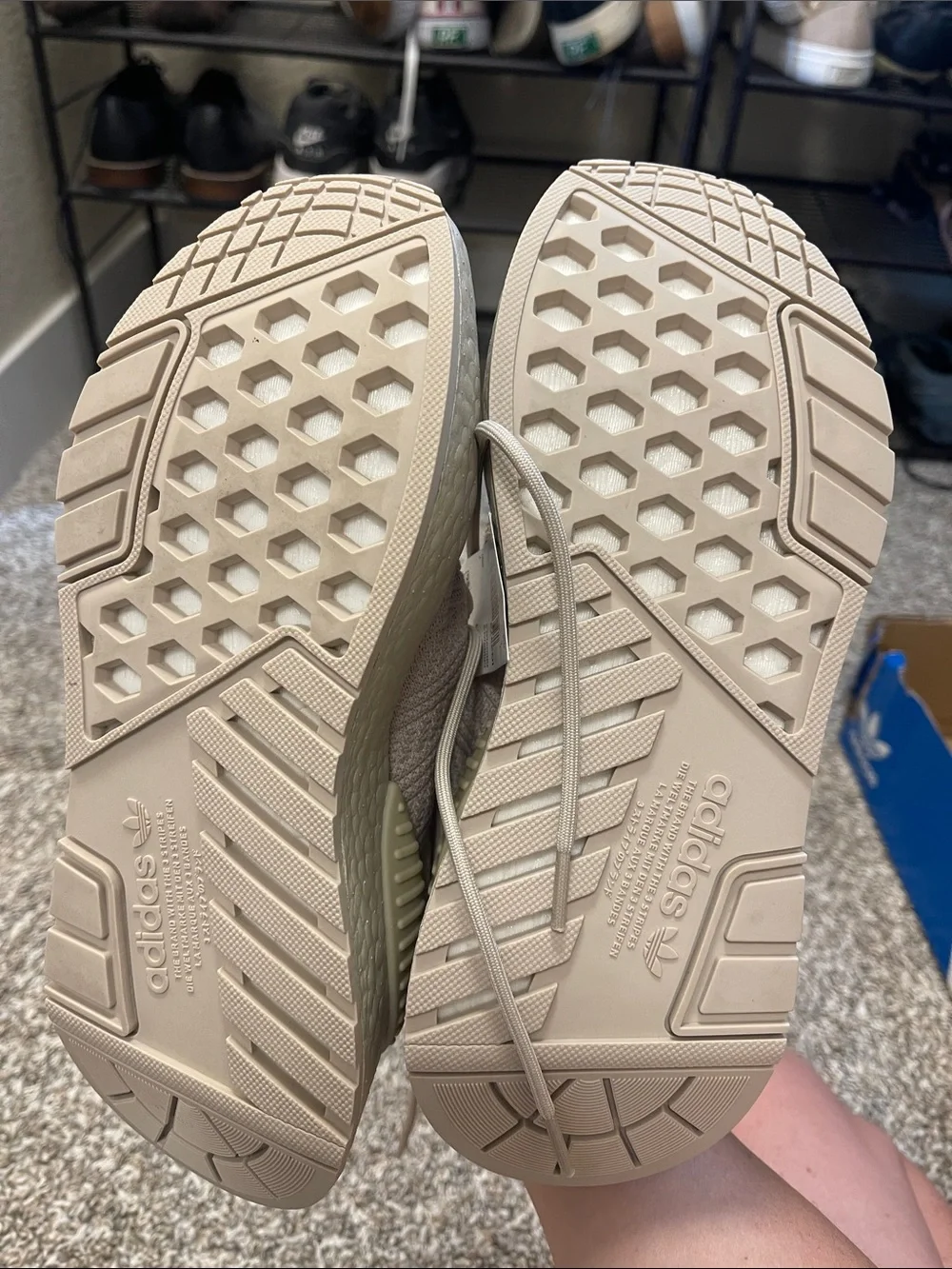 NWT - ADIDAS sneakers in Beige - 8.5